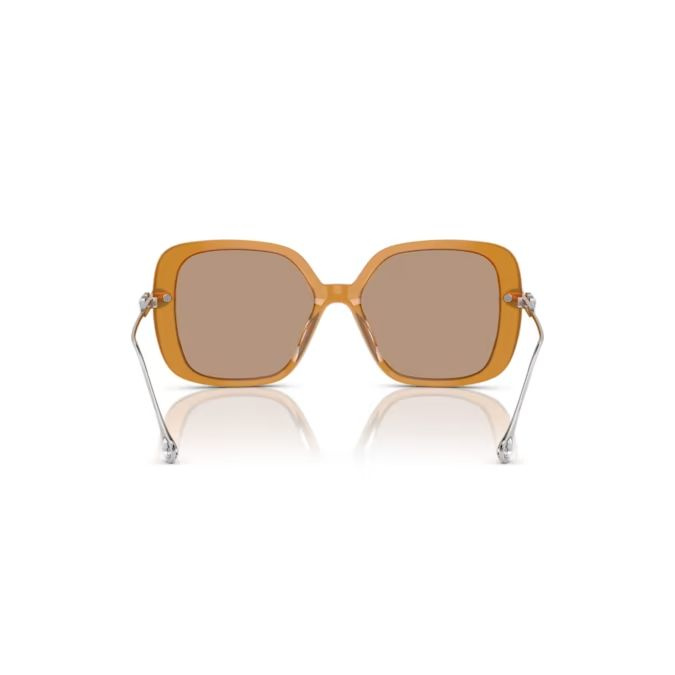 Sunglasses Oversized, Square shape, SK6011, Brown