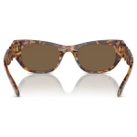 Sunglasses Oval shape, SK6022, Brown