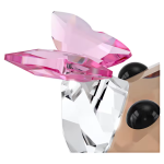 Idyllia Fox and Butterfly