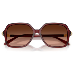 Sunglasses Square shape, SK6067, Burgundy