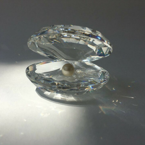 Shell with pearl, large