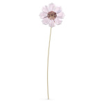 Garden Tales Cosmos