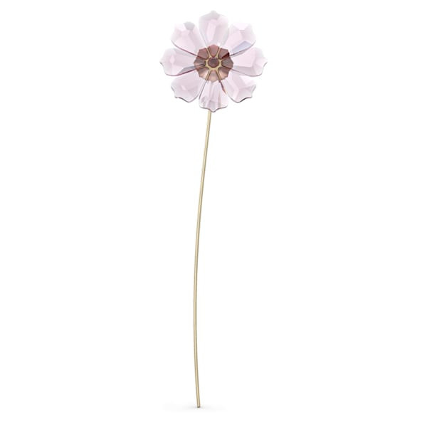 Garden Tales Cosmos