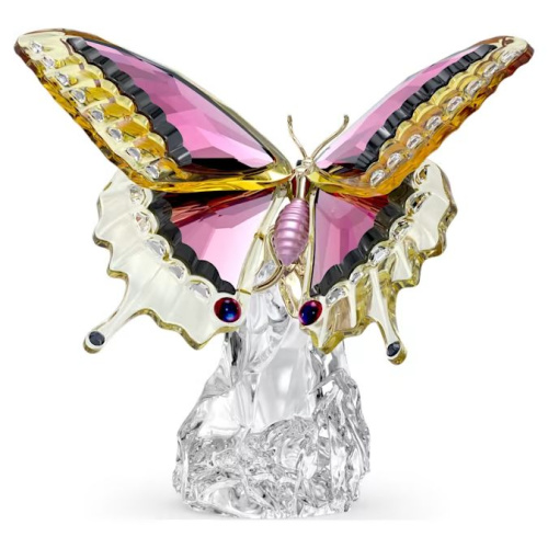 Idyllia Butterfly