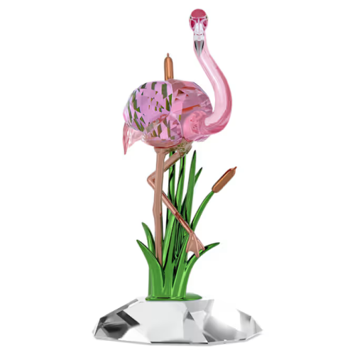 Idyllia Flamingo
